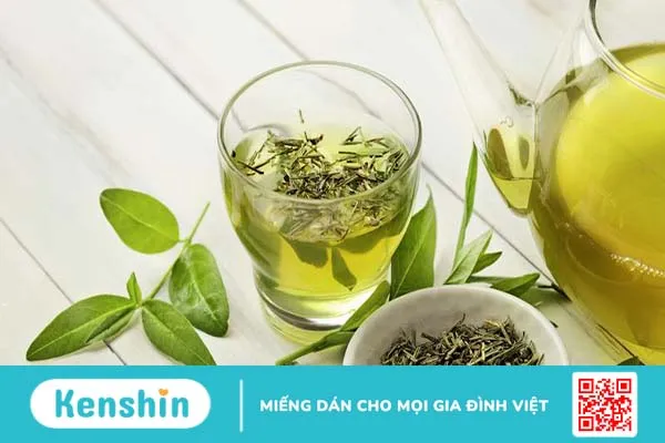 1 chai trà xanh không độ bao nhiêu calo? Uống trà xanh không độ có lợi ích gì? 1