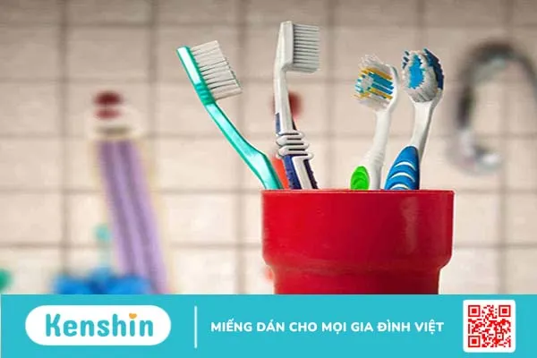 Bàn chải đánh răng rất dễ bị nhiễm khuẩn