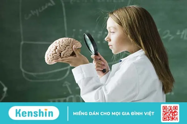 3 giai đoạn vàng phát triển trí não ở trẻ phụ huynh không nên bỏ lỡ3