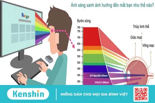 5 thuốc bổ mắt cho người dùng máy tính nhiều 2