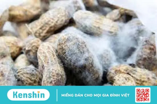 Aflatoxin là gì? Nguyên nhân nấm Aflatoxin có trong thực phẩm mốc dễ gây bệnh ung thư 2