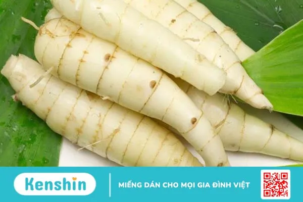 Giải đáp: Ăn củ dong có tác dụng gì? 2