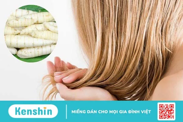 Giải đáp: Ăn củ dong có tác dụng gì? 5