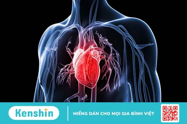 Ăn trứng có béo không? Làm thế nào để giảm cân bằng trứng hiệu quả? 04