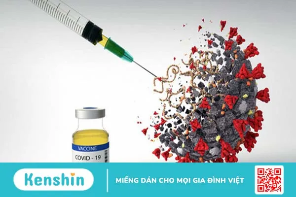 Ảnh hưởng của Omicron đến người đã tiêm đủ 2 mũi vaccine1