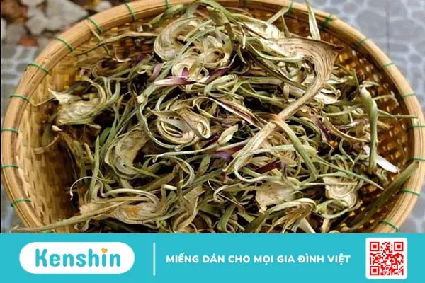 Atiso phơi khô làm trà uống giúp chống lão hóa