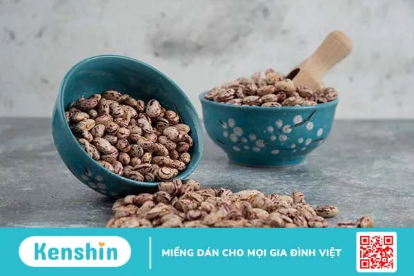 Bà bầu ăn đậu ngự được không? Các món ngon phù hợp