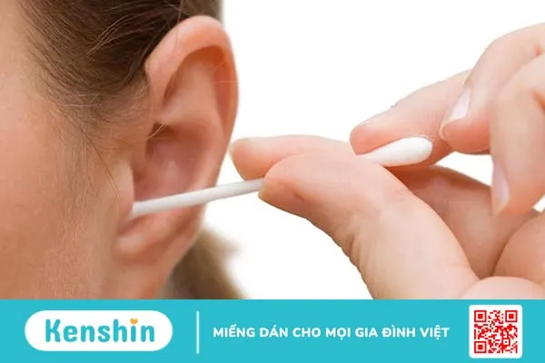 Bài thuốc lá bàng chữa viêm tai giữa hiệu quả bạn có biết? 3