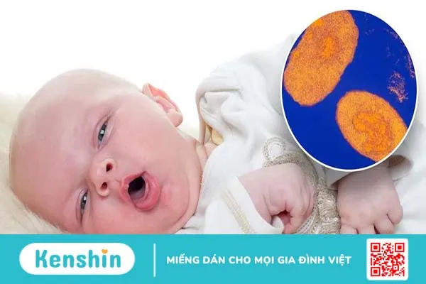 Bạn có khả năng lây nhiễm trong bao lâu sau khi nhiễm virus? 3