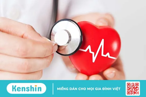 Bạn nên biết: Những thực phẩm nào thuộc nhóm rau? 3