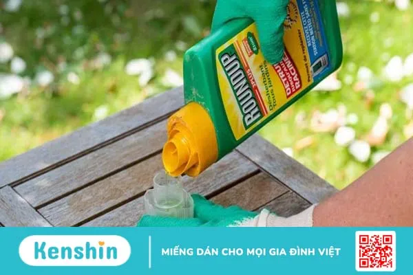 Bạn sẽ gặp phải triệu chứng gì khi bị ngộ độc glyphosate?1