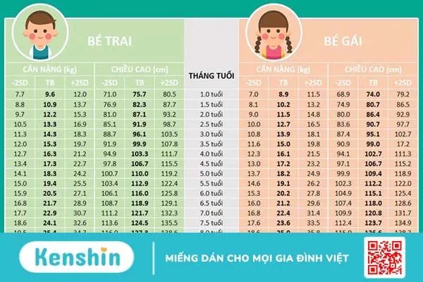 Bảng tham khảo chiều cao cân nặng bé gái 7 tuổi tiêu chuẩn bố mẹ cần biết 2