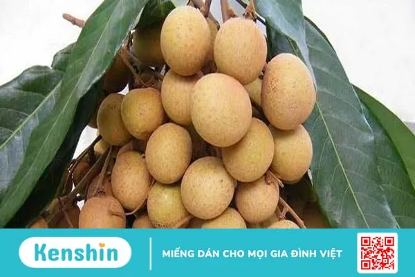 Bầu 3 tháng đầu ăn nhãn được không? Những điều bà bầu cần lưu ý khi ăn nhãn 4