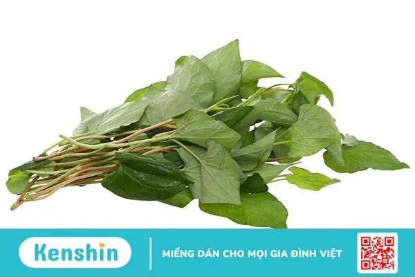 Bệnh rối loạn kinh nguyệt uống cây gì hiệu quả? 2