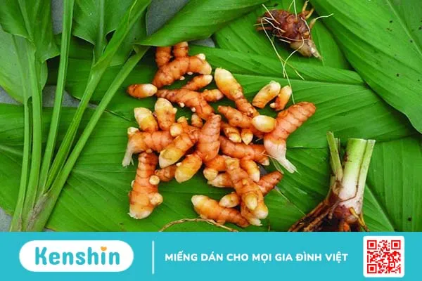 Bệnh rối loạn kinh nguyệt uống cây gì hiệu quả? 5