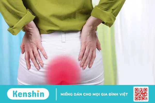 Bệnh trĩ để lâu có sao không1