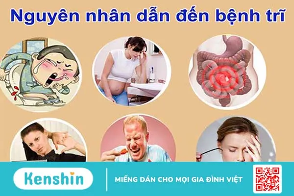 Bệnh trĩ thường gặp ở độ tuổi nào, người trẻ có bị mắc trĩ không? 2