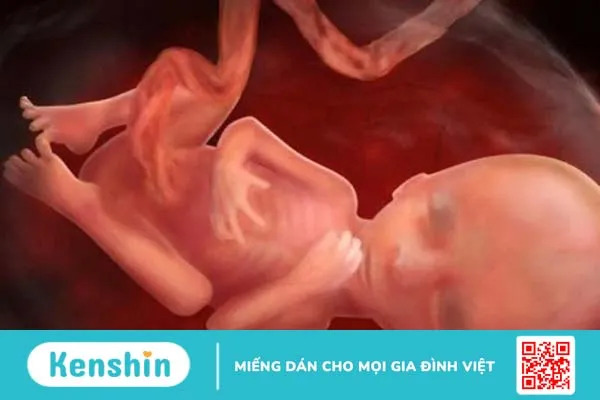 Bị cúm khi mang thai tuần đầu- Mẹ bầu cần làm gì? 3