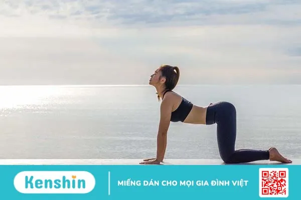 Bị đau lưng có nên tập yoga - Chữa đau lưng bằng yoga 2