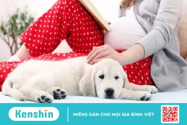 Bị nhiễm giun đũa chó khi mang thai có nguy hiểm không? Cách phòng tránh thế nào? 4