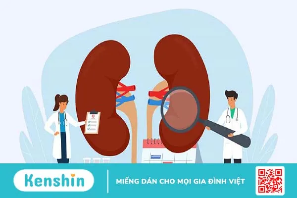 BK là gì? Dấu hiệu nhận biết và phương pháp điều trị cho người bệnh nhiễm BK 3