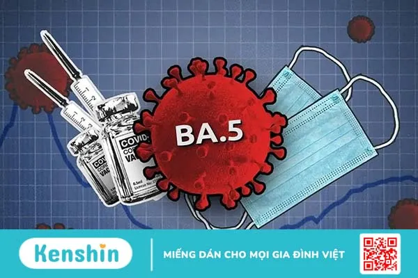 Bộ Y tế: Biến thể phụ Covid-19 BA.5 đã xâm nhập vào Việt Nam3