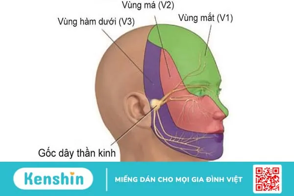 Bớt ota là gì? -1