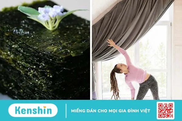 Bướu cổ ăn rong biển được không? Lợi ích của rong biển với người bướu cổ 4