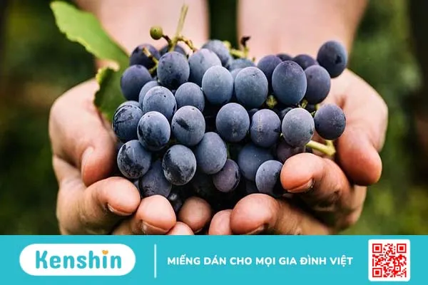 Bướu cổ lành tính kiêng ăn gì Top thực phẩm nên tránh xa khi bị bướu cổ 3