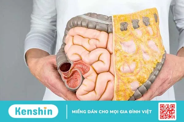 Các loại bệnh đường ruột mùa hè bạn cần chú ý1