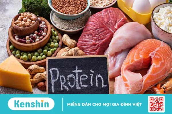 Các loại thực phẩm giàu protein bạn cần biết để bổ sung cho đúng 1