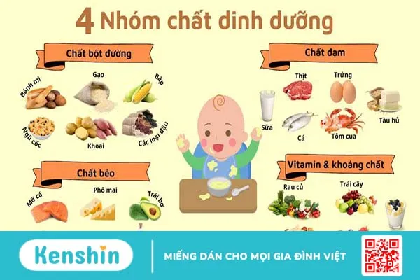 Các nhóm chất dinh dưỡng quan trọng với cơ thể cần bổ sung hàng ngày 1