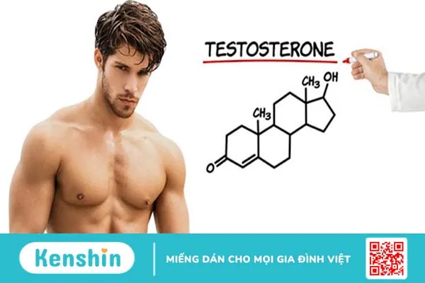 Các Triệu Chứng Thiếu Hormone Ở Nam Giới – Dành Cho Bệnh Nhân Ung Thư Tuyến Tiền Liệt 2