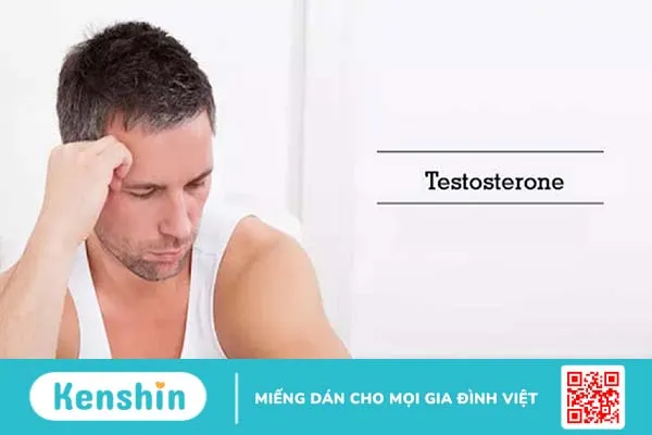 Các Triệu Chứng Thiếu Hormone Ở Nam Giới – Dành Cho Bệnh Nhân Ung Thư Tuyến Tiền Liệt 3