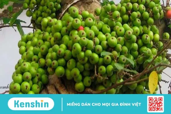 Cách chữa hội chứng ruột kích thích tại nhà đơn giản mà hiệu quả-3