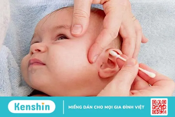 Cách chữa viêm tai giữa bằng lông nhím hiệu quả tại nhà1