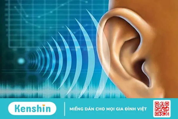 Cách chữa viêm tai giữa bằng sáp ong có tốt không? Cách thực hiện ra sao?3