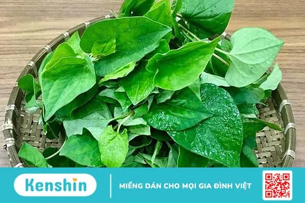 Chữa viêm tai giữa dân gian hiệu quả bất ngờ 3