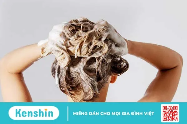 Cách gội đầu đúng cách để tránh tình trạng rụng tóc 2