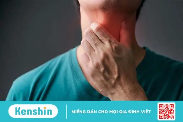 Cách nấu lá trinh nữ hoàng cung tươi để chữa bệnh-3