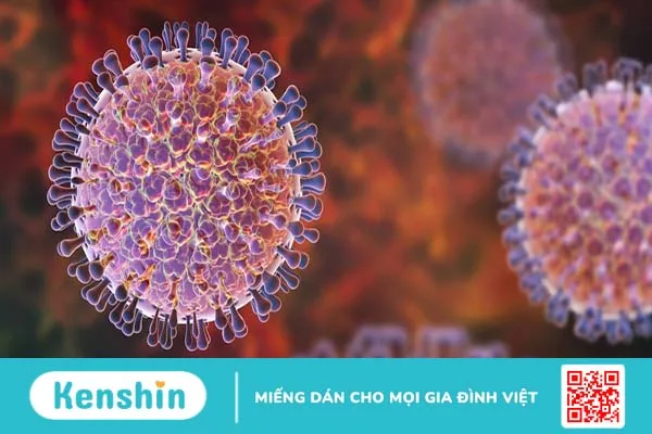 Virus Rota có nguy hiểm không? Có cách phòng tránh virus Rota không? 1