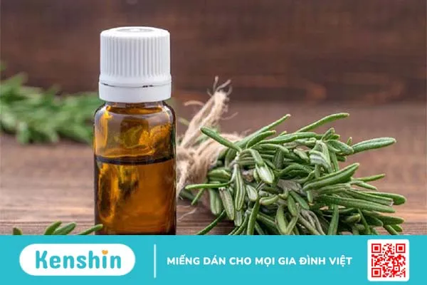 Cách sử dụng cây hương thảo đuổi hiệu quả 2