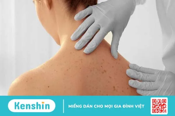 Cách sử dụng cây hương thảo đuổi hiệu quả 4