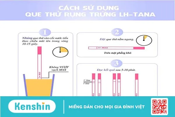 Cách sử dụng que thử rụng trứng an toàn và hiệu quả 2