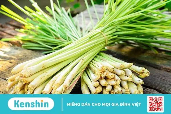 Sử dụng đều đặn phương pháp trị rụng tóc bằng sả sẽ giúp bảo vệ các tế bào nang tóc khỏi những tổn thương