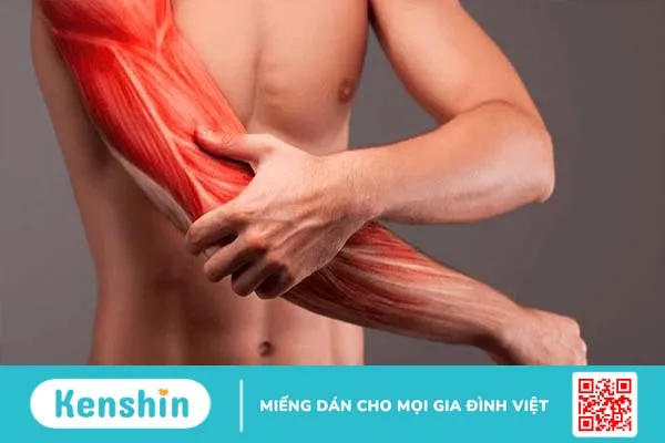 Cách xử lí tình trạng rách cơ khi tập gym và top 5 thực phẩm giúp phục hồi cơ hiệu quả 1