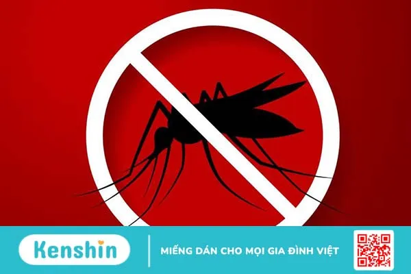 Vì sao phải cắt bỏ lá lách? Cắt bỏ lá lách có ảnh hưởng gì không? 3