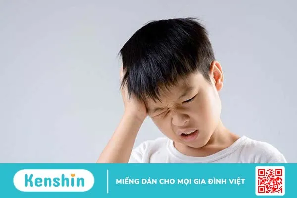 Cấu trúc giải phẫu tai người, chức năng và các vấn đề thường gặp 4