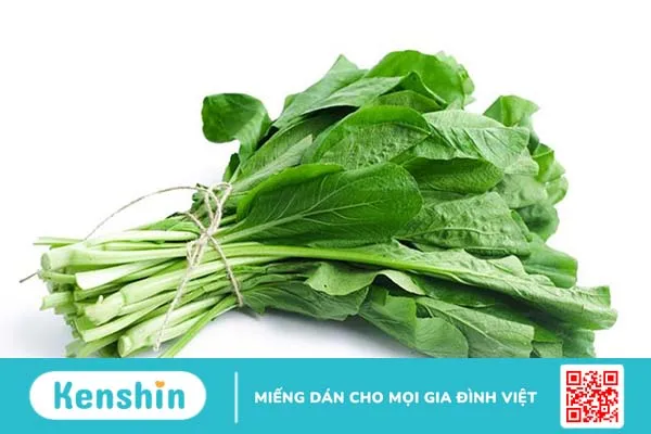 Cây cải ngọt bao nhiêu calo và công dụng của cây cải ngọt -1