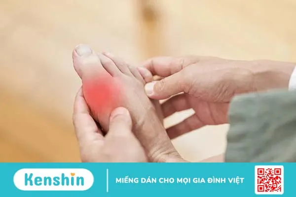 Cây cải ngọt bao nhiêu calo và công dụng của cây cải ngọt -2